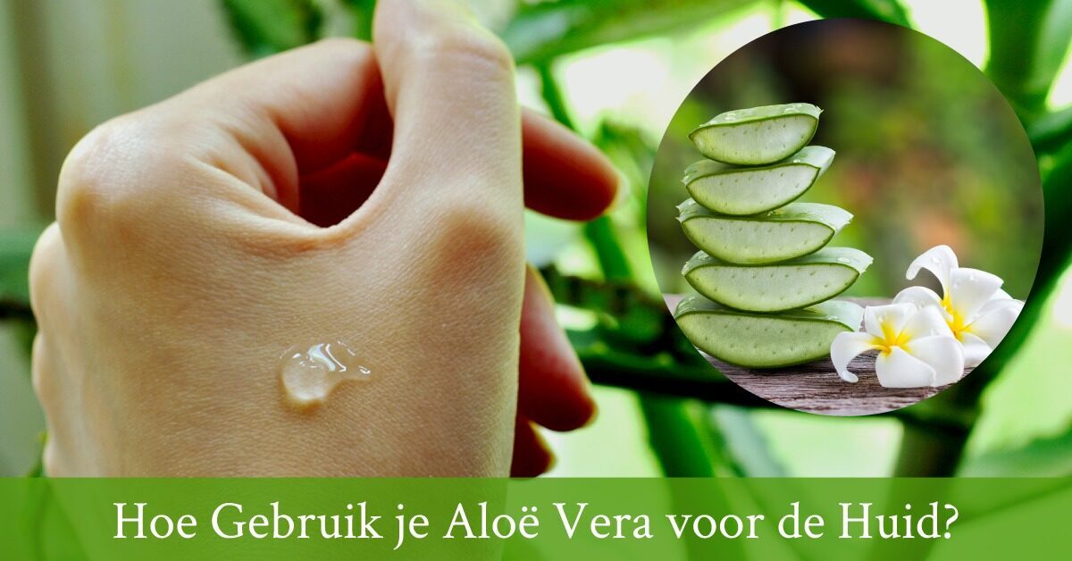Aloe vera plant gel huid hand