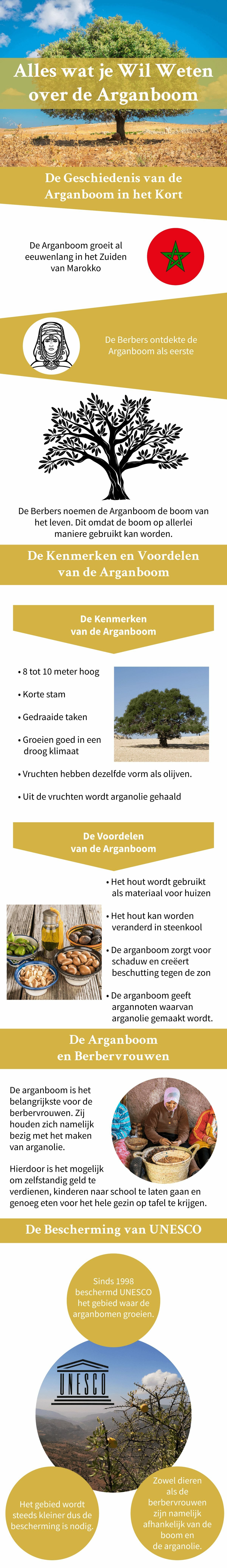 Arganboom in beeld infographic