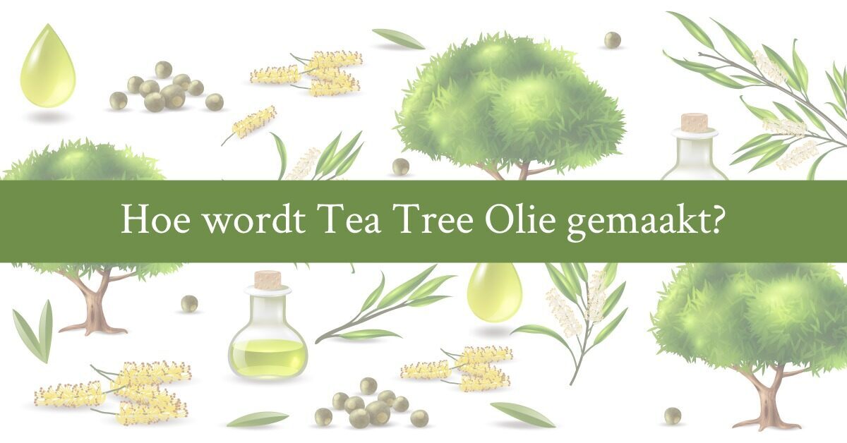 Tea Tree Olie: Zo Gebruik je het Haar en Nagels!