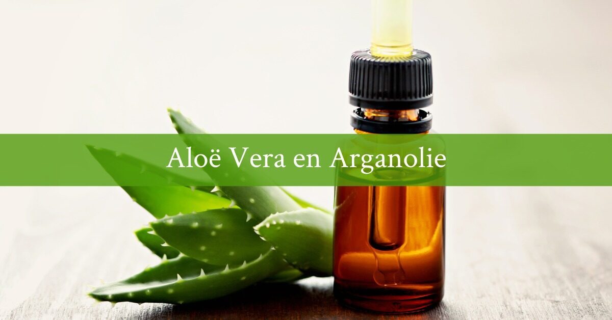 flesje arganolie olie aloe vera plant