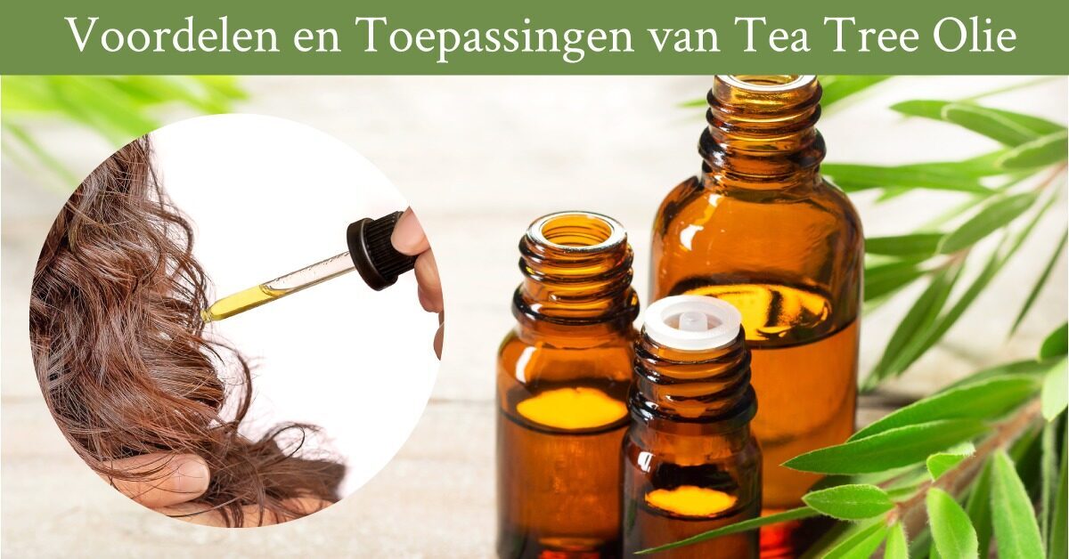 formeel Absorberen Buitenlander Tea Tree Olie: Zo Gebruik je het voor Huid, Haar en Nagels!